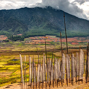 Phobjekha Valley