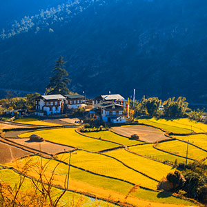 Beautiful Punakha Valley